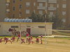 thumb_dsc05984.jpg